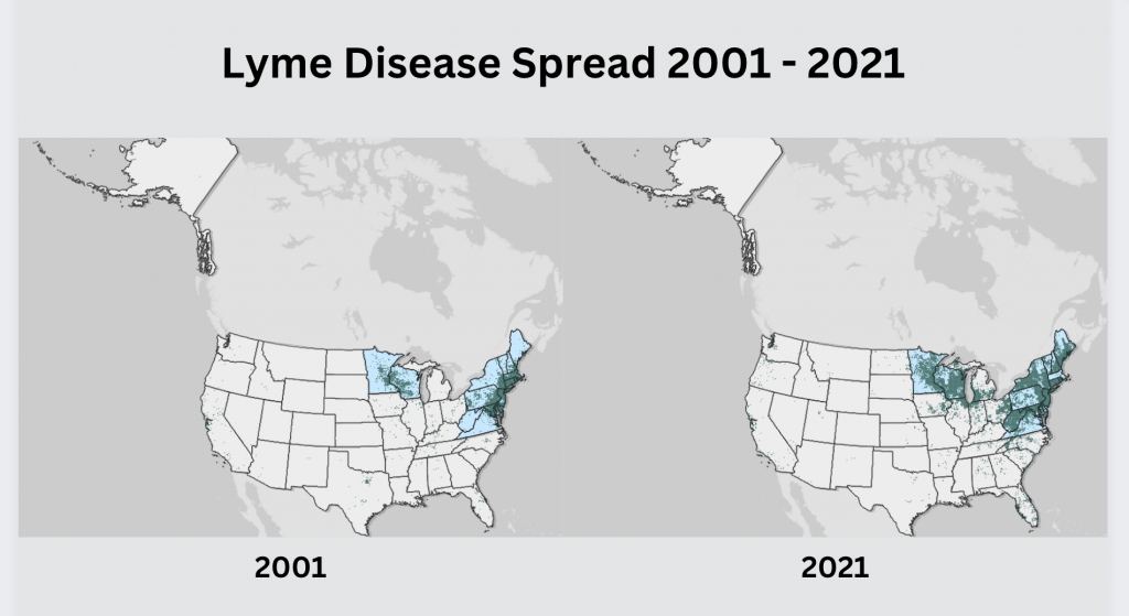 How serious is Lyme disease - Lyme Disease Spread 2001 - 2021 (USA) Preventing Lyme disease helps