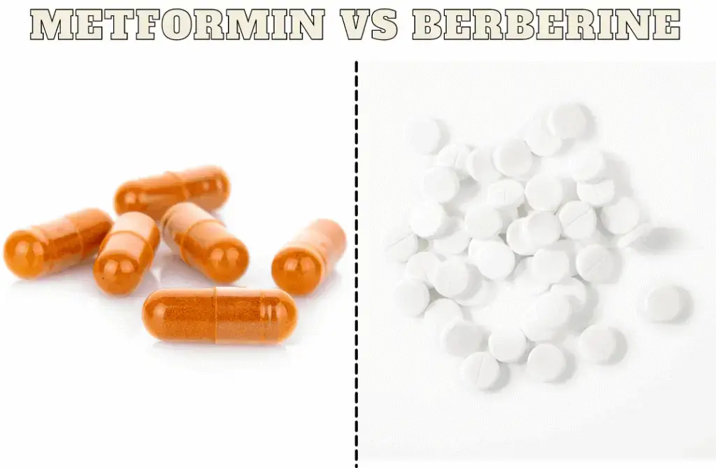 metformin vs berberine