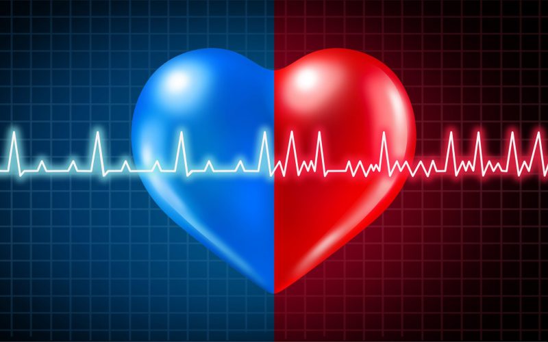 Atrial fibrillation medical condition and normal or abnormal heart rate rythm as a cardiac disorder with healthy and unhealthy ecg monitoring with 3D illustration elements.